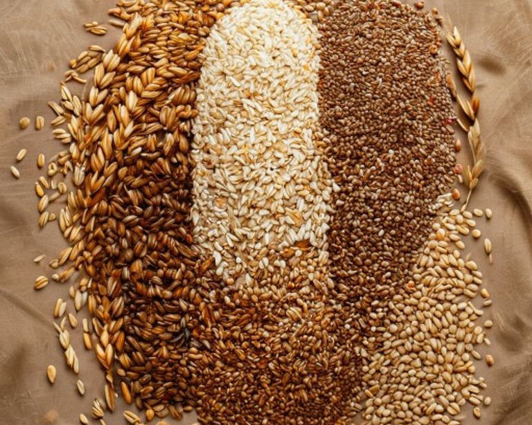 The Multigrain Myth: What That Claim Really Means
