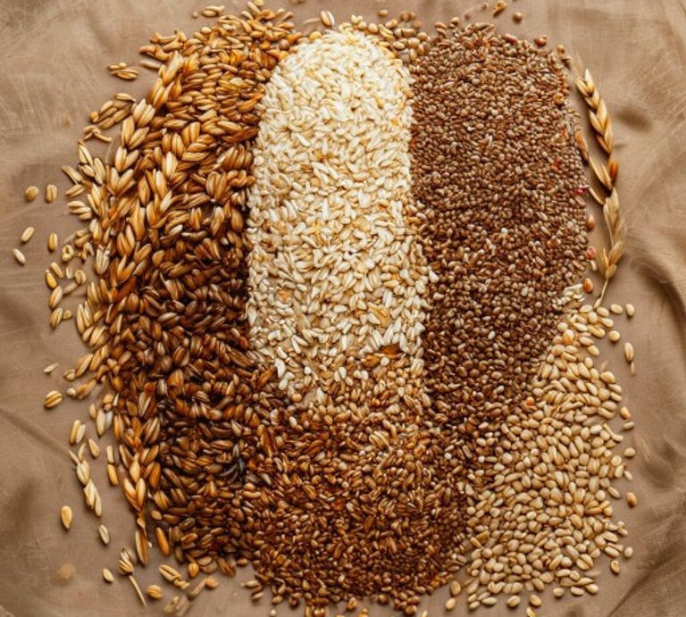 The Multigrain Myth: What That Claim Really Means